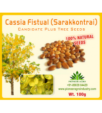 Cassia Fistual / Amaltas Tree Seed 100 grams